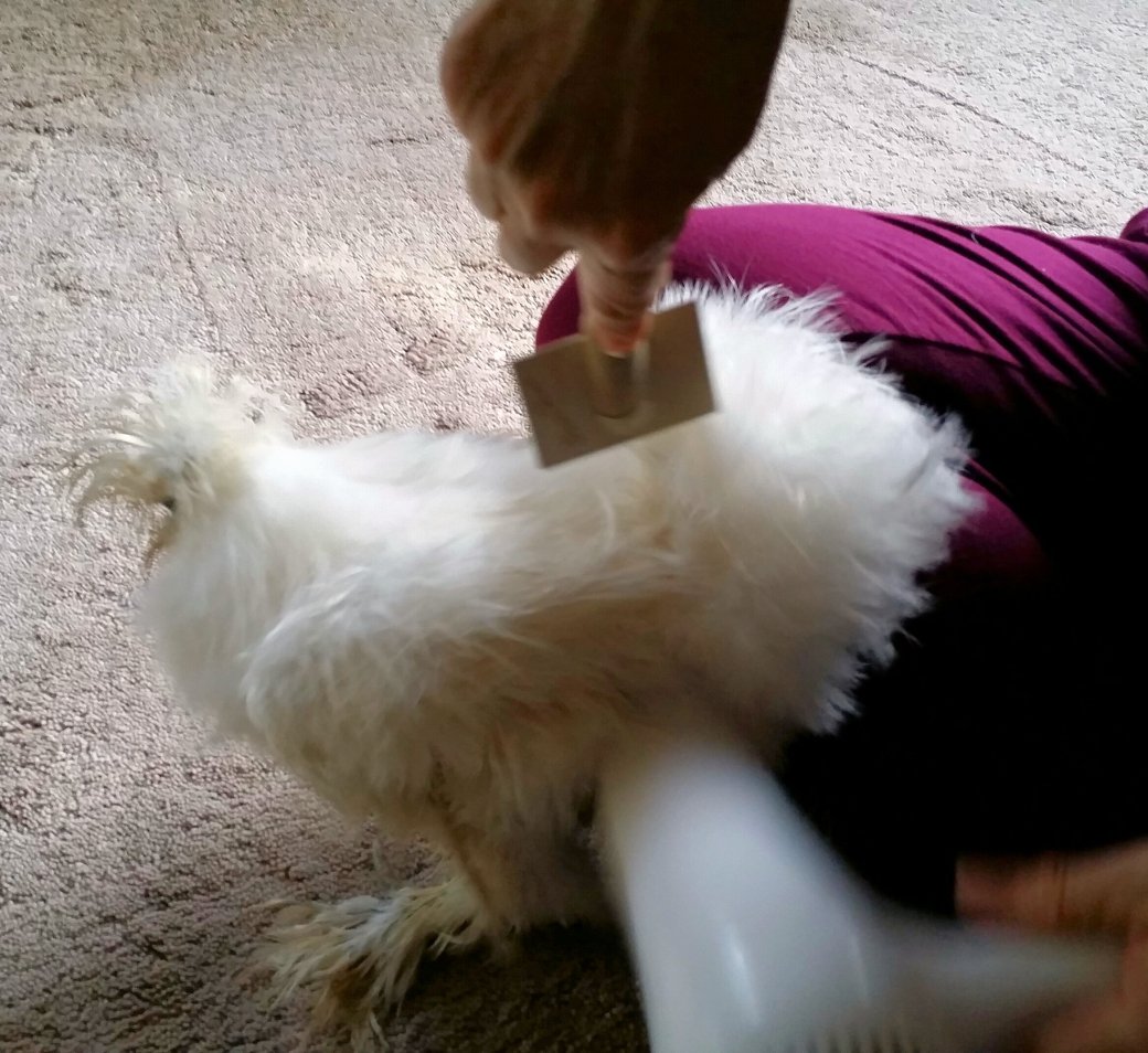 20171018_102406(0)-1