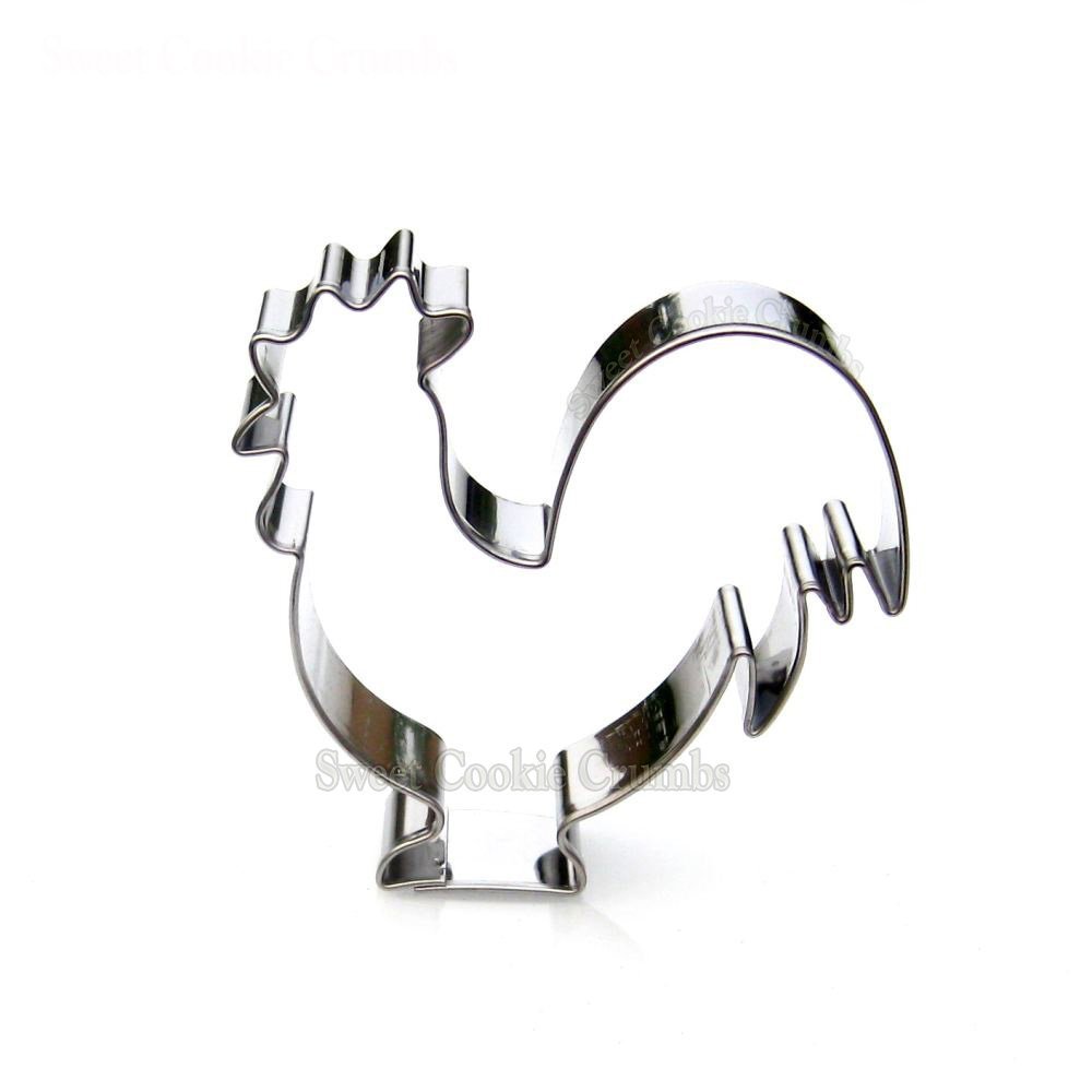 51iEcbfch7L._SL1000_