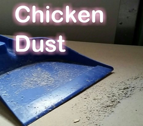 Snapchat-247551328-1