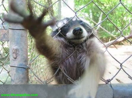 main-qimg-2a472a1792ff8f5f67941823cf95337c-c