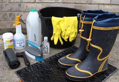 7a31a8c5e329aa4f6b0d5ac6083b2c62