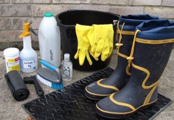 7a31a8c5e329aa4f6b0d5ac6083b2c62