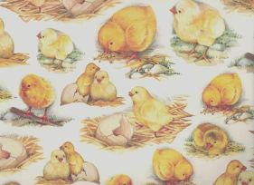 61Bg0vJ9G8L._SL1000_