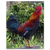 71RAVtIjuHL._SL1000_