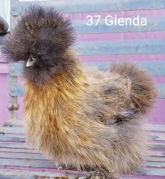 Glenda